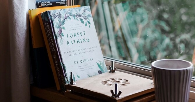 Giving Your Body the Space to Feel Safe image