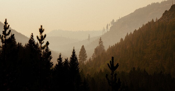 5 Simple Ways to Protect Your Lungs from Smoke